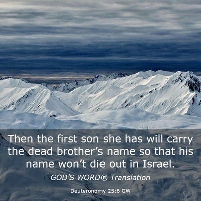 Picture 03 - Deuteronomy 25:6 GW - Then the first son she has will carry the dead - Bible Verse Picture