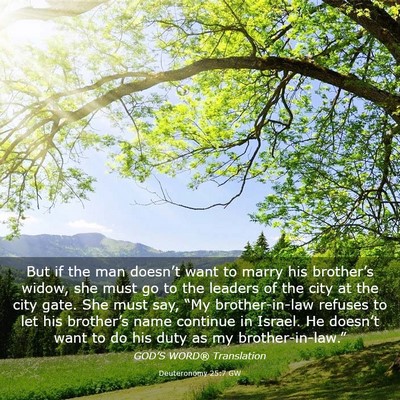 Picture 03 - Deuteronomy 25:7 GW - But if the man doesn’t want to marry his - Bible Verse Picture