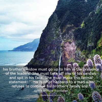 Picture 03 - Deuteronomy 25:9 GW - his brother’s widow must go up to him in the - Bible Verse Picture