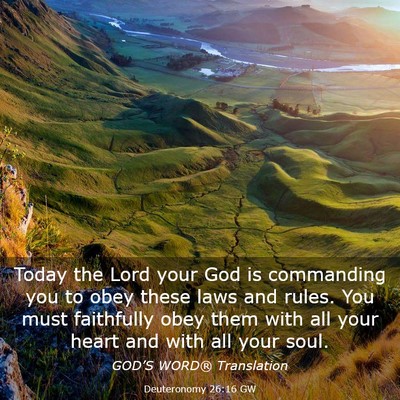 Picture 03 - Deuteronomy 26:16 GW - Today the Lord your God is commanding you to obey - Bible Verse Picture