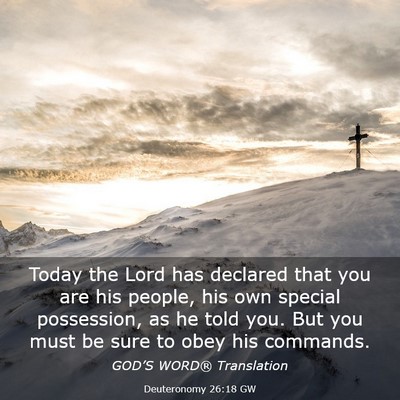 Picture 03 - Deuteronomy 26:18 GW - Today the Lord has declared that you are his - Bible Verse Picture