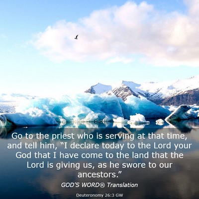 Picture 03 - Deuteronomy 26:3 GW - Go to the priest who is serving at that time, and - Bible Verse Picture