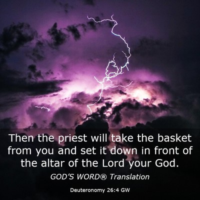 Picture 03 - Deuteronomy 26:4 GW - Then the priest will take the basket from you and - Bible Verse Picture