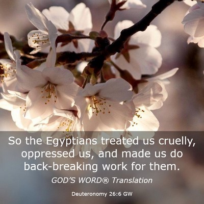 Picture 03 - Deuteronomy 26:6 GW - So the Egyptians treated us cruelly, oppressed - Bible Verse Picture
