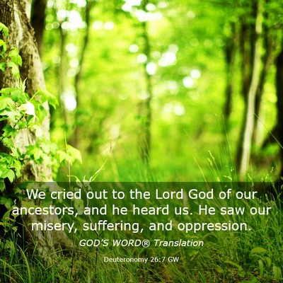 Picture 03 - Deuteronomy 26:7 GW - We cried out to the Lord God of our ancestors, - Bible Verse Picture