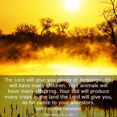 Picture 03 - Deuteronomy 28:11 GW - The Lord will give you plenty of blessings: You - Bible Verse Picture