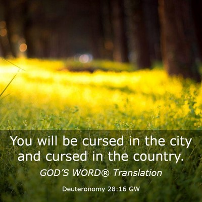 Picture 03 - Deuteronomy 28:16 GW - You will be cursed in the city and cursed in the - Bible Verse Picture