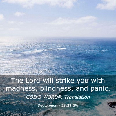 Picture 03 - Deuteronomy 28:28 GW - The Lord will strike you with madness, blindness, - Bible Verse Picture