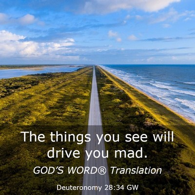 Picture 03 - Deuteronomy 28:34 GW - The things you see will drive you - Bible Verse Picture