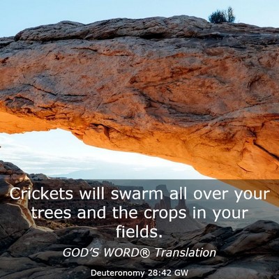 Picture 03 - Deuteronomy 28:42 GW - Crickets will swarm all over your trees and the - Bible Verse Picture