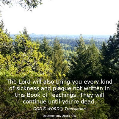 Picture 03 - Deuteronomy 28:61 GW - The Lord will also bring you every kind of - Bible Verse Picture
