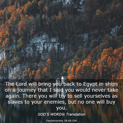 Picture 03 - Deuteronomy 28:68 GW - The Lord will bring you back to Egypt in ships on - Bible Verse Picture