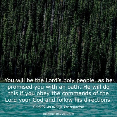 Picture 03 - Deuteronomy 28:9 GW - You will be the Lord’s holy people, as he - Bible Verse Picture