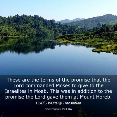 Picture 03 - Deuteronomy 29:1 GW - These are the terms of the promise that the Lord - Bible Verse Picture