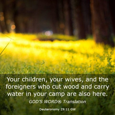 Picture 03 - Deuteronomy 29:11 GW - Your children, your wives, and the foreigners who - Bible Verse Picture