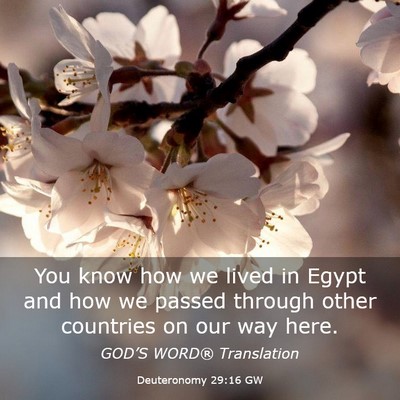 Picture 03 - Deuteronomy 29:16 GW - You know how we lived in Egypt and how we passed - Bible Verse Picture