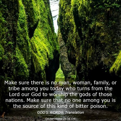 Picture 03 - Deuteronomy 29:18 GW - Make sure there is no man, woman, family, or - Bible Verse Picture