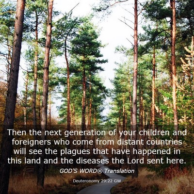 Picture 03 - Deuteronomy 29:22 GW - Then the next generation of your children and - Bible Verse Picture