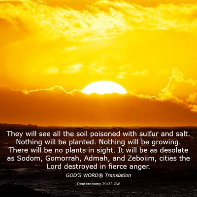 Picture 03 - Deuteronomy 29:23 GW - They will see all the soil poisoned with sulfur - Bible Verse Picture