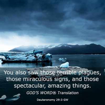 Picture 03 - Deuteronomy 29:3 GW - You also saw those terrible plagues, those - Bible Verse Picture