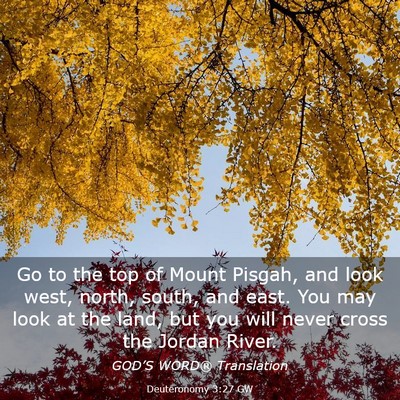 Picture 03 - Deuteronomy 3:27 GW - Go to the top of Mount Pisgah, and look west, - Bible Verse Picture