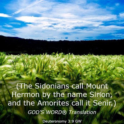Picture 03 - Deuteronomy 3:9 GW - (The Sidonians call Mount Hermon by the name - Bible Verse Picture