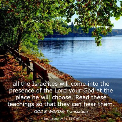 Picture 03 - Deuteronomy 31:11 GW - all the Israelites will come into the presence of - Bible Verse Picture