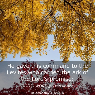 Picture 03 - Deuteronomy 31:25 GW - He gave this command to the Levites who carried - Bible Verse Picture