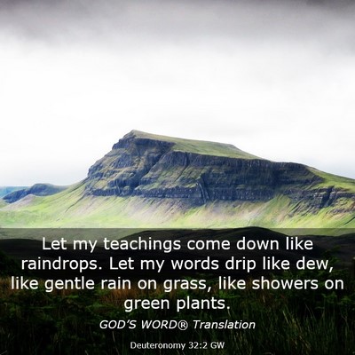 Picture 03 - Deuteronomy 32:2 GW - Let my teachings come down like raindrops. Let my - Bible Verse Picture