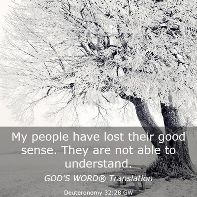 Picture 03 - Deuteronomy 32:28 GW - My people have lost their good sense. They are - Bible Verse Picture