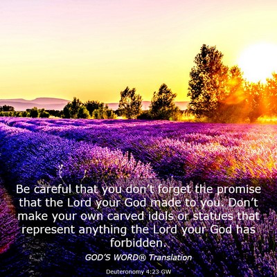 Picture 03 - Deuteronomy 4:23 GW - Be careful that you don’t forget the promise - Bible Verse Picture