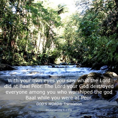 Picture 03 - Deuteronomy 4:3 GW - With your own eyes you saw what the Lord did at - Bible Verse Picture