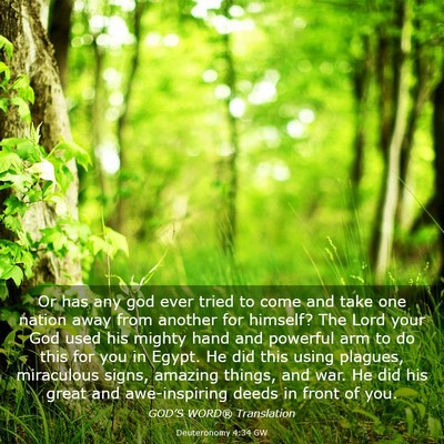 Picture 03 - Deuteronomy 4:34 GW - Or has any god ever tried to come and take one - Bible Verse Picture