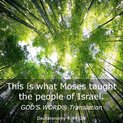 Picture 03 - Deuteronomy 4:44 GW - This is what Moses taught the people of - Bible Verse Picture