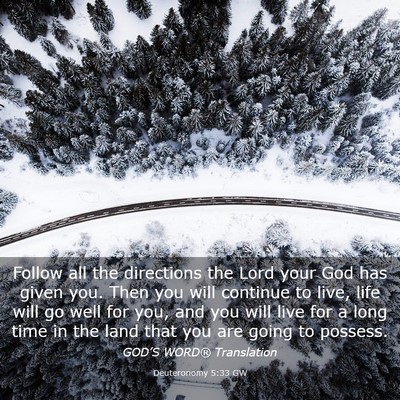 Picture 03 - Deuteronomy 5:33 GW - Follow all the directions the Lord your God has - Bible Verse Picture