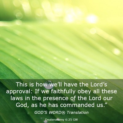 Picture 03 - Deuteronomy 6:25 GW - This is how we’ll have the Lord’s approval: - Bible Verse Picture