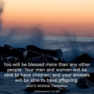 Picture 03 - Deuteronomy 7:14 GW - You will be blessed more than any other people. - Bible Verse Picture