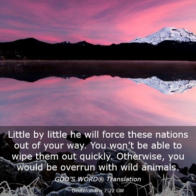 Picture 03 - Deuteronomy 7:22 GW - Little by little he will force these nations out - Bible Verse Picture