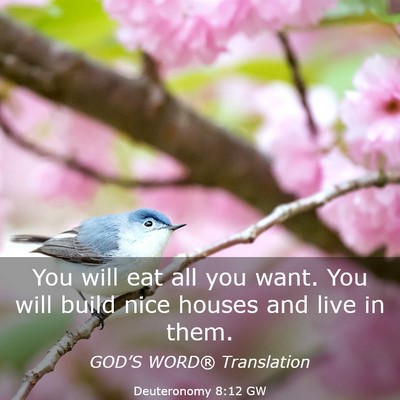 Picture 03 - Deuteronomy 8:12 GW - You will eat all you want. You will build nice - Bible Verse Picture