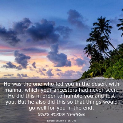 Picture 03 - Deuteronomy 8:16 GW - He was the one who fed you in the desert with - Bible Verse Picture