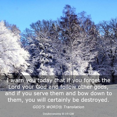 Picture 03 - Deuteronomy 8:19 GW - I warn you today that if you forget the Lord your - Bible Verse Picture