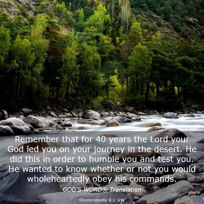 Picture 03 - Deuteronomy 8:2 GW - Remember that for 40 years the Lord your God led - Bible Verse Picture