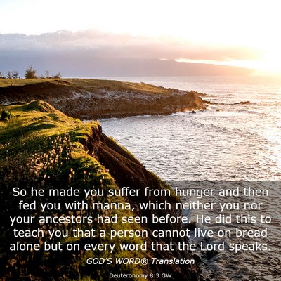 Picture 03 - Deuteronomy 8:3 GW - So he made you suffer from hunger and then fed - Bible Verse Picture