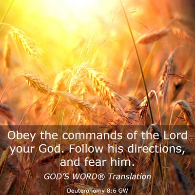 Picture 03 - Deuteronomy 8:6 GW - Obey the commands of the Lord your God. Follow - Bible Verse Picture