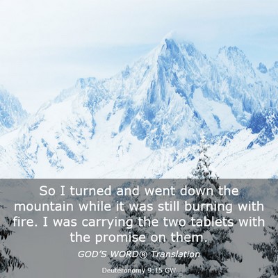 Picture 03 - Deuteronomy 9:15 GW - So I turned and went down the mountain while it - Bible Verse Picture