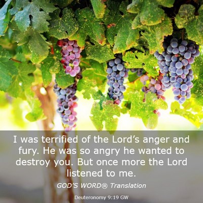 Picture 03 - Deuteronomy 9:19 GW - I was terrified of the Lord’s anger and fury. - Bible Verse Picture