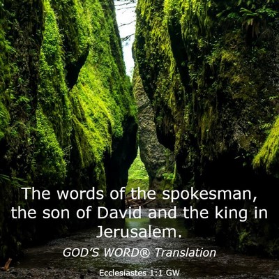 Picture 03 - Ecclesiastes 1:1 GW - The words of the spokesman, the son of David and - Bible Verse Picture