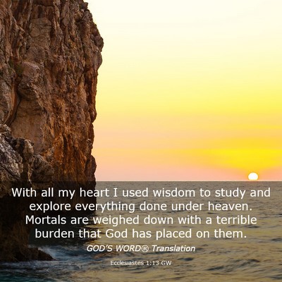 Picture 03 - Ecclesiastes 1:13 GW - With all my heart I used wisdom to study and - Bible Verse Picture