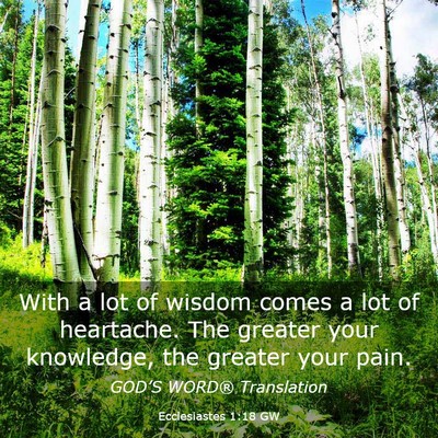 Picture 03 - Ecclesiastes 1:18 GW - With a lot of wisdom comes a lot of heartache. - Bible Verse Picture