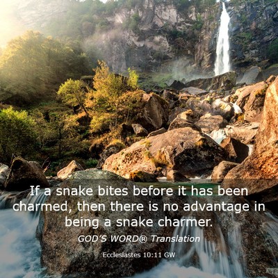 Picture 03 - Ecclesiastes 10:11 GW - If a snake bites before it has been charmed, then - Bible Verse Picture